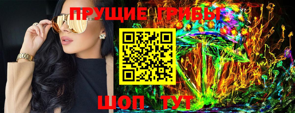 где продают наркотики  Псилоцибиновые грибы Cubensis  Вход с VPN  Дзержинский 